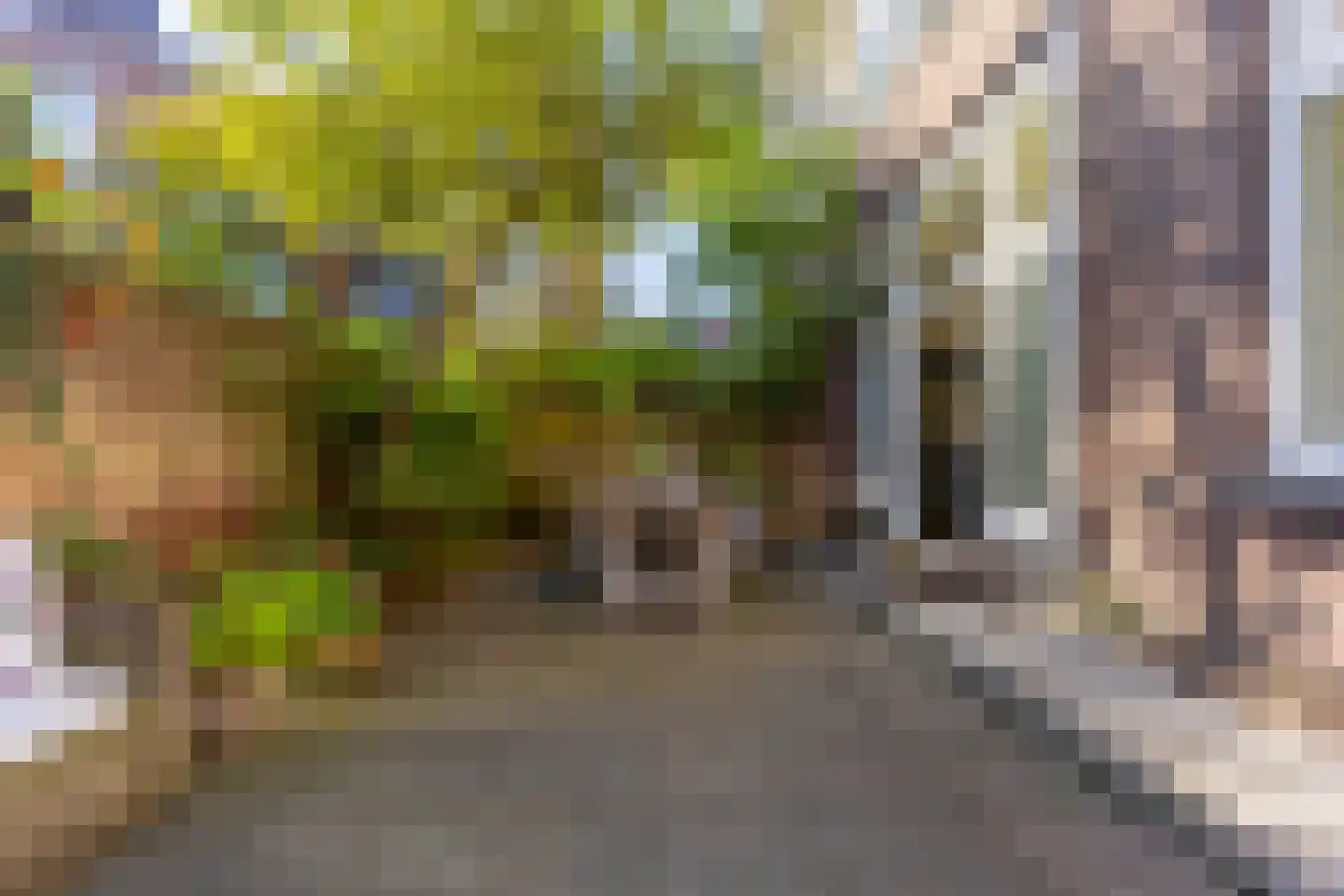 Van Hogendorpstraat 5 Utrecht thumbnail 25