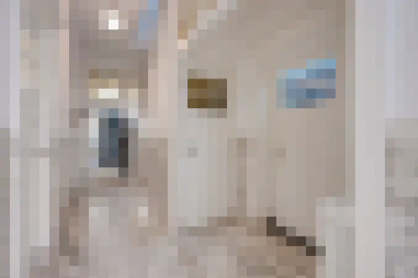 Van Hogendorpstraat 5 Utrecht thumbnail 28