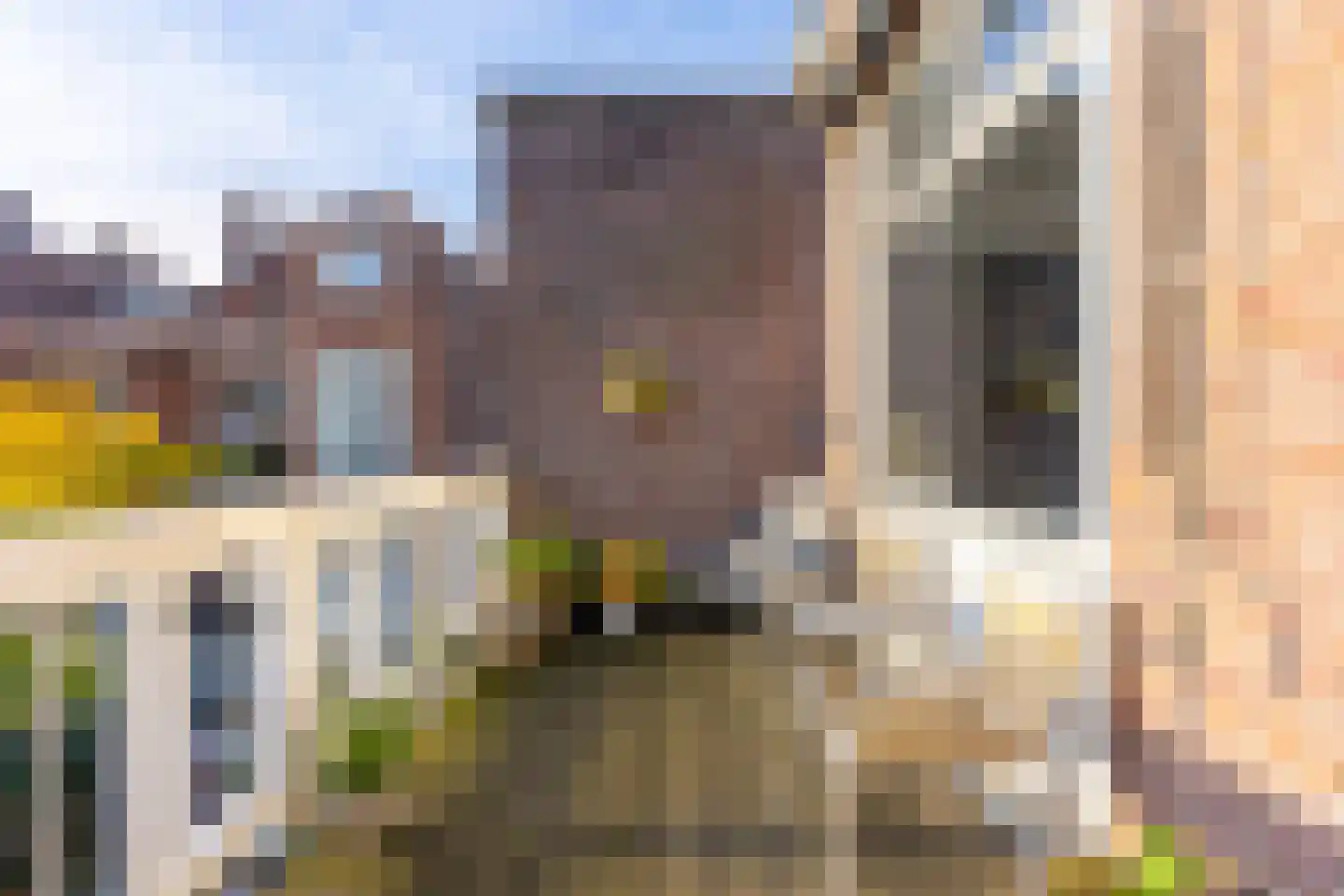 Van Hogendorpstraat 5 Utrecht thumbnail 58