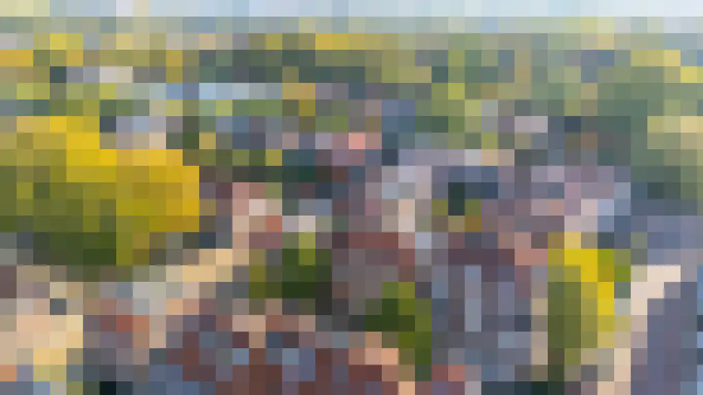 Van Hogendorpstraat 5 Utrecht thumbnail 64