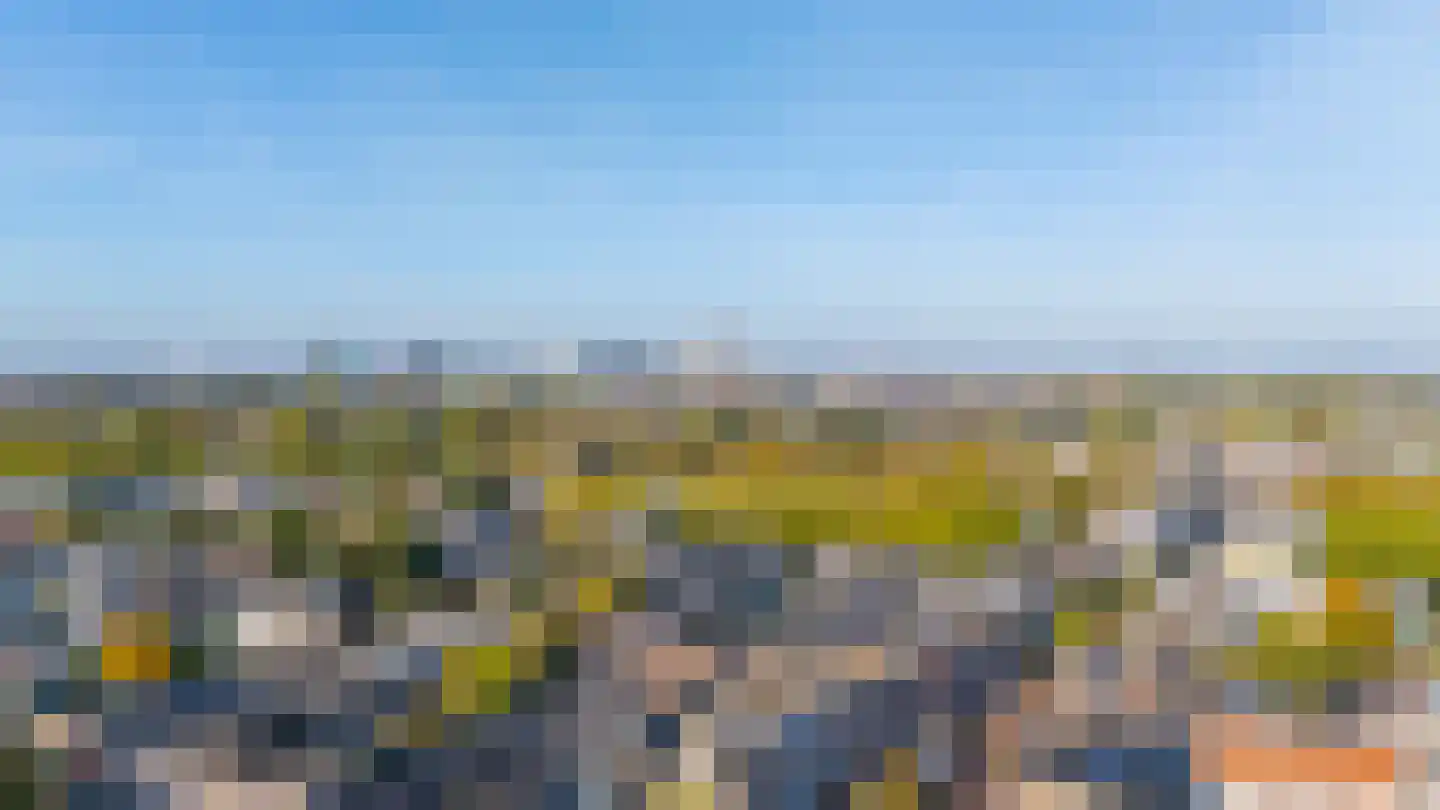 Van Hogendorpstraat 5 Utrecht thumbnail 65