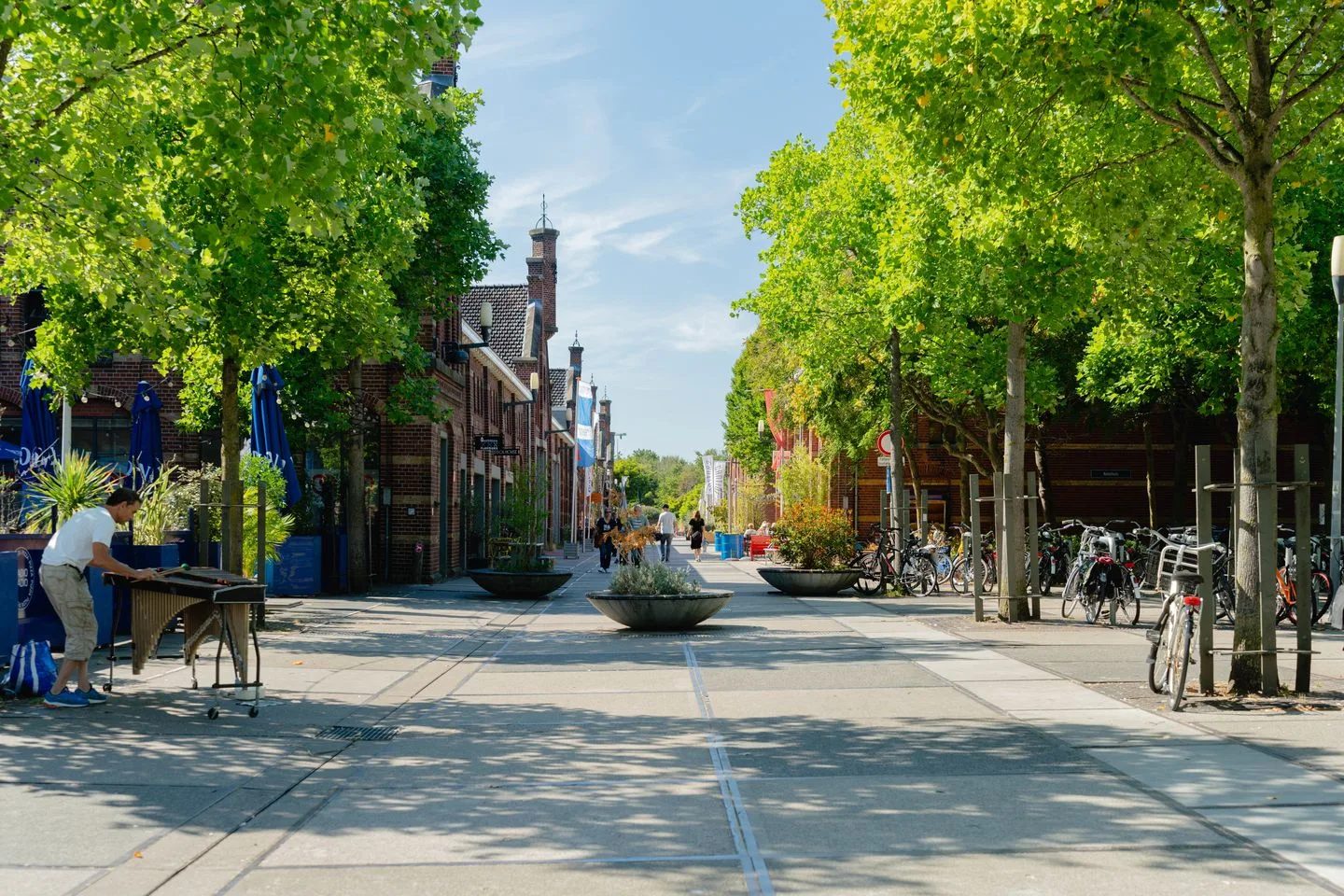 Van Hogendorpstraat 56 2 Amsterdam thumbnail 41
