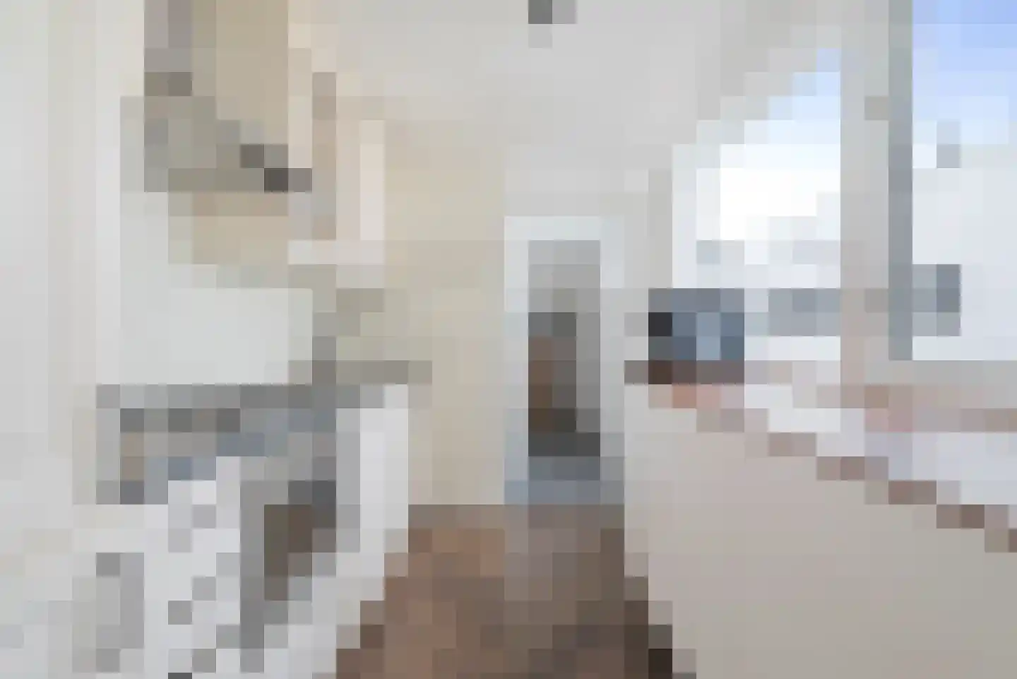 Van Hogendorpstraat 58 Den Helder thumbnail 13