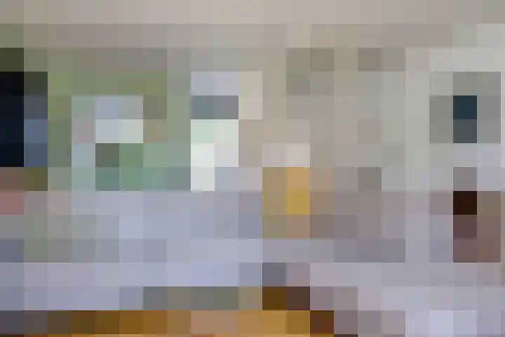 van Hogendorpstraat 6 Hoogezand thumbnail 10