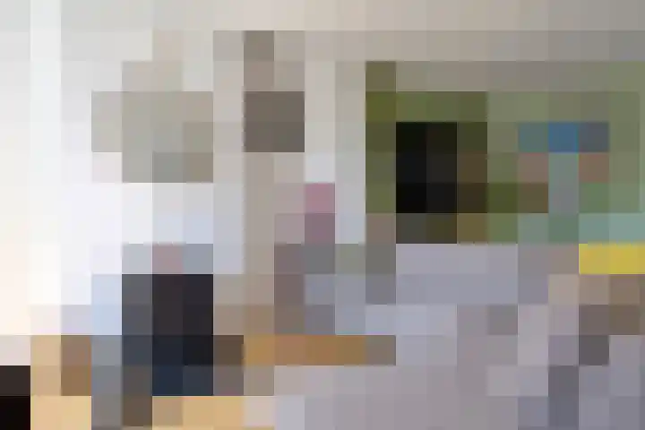 van Hogendorpstraat 6 Hoogezand thumbnail 11