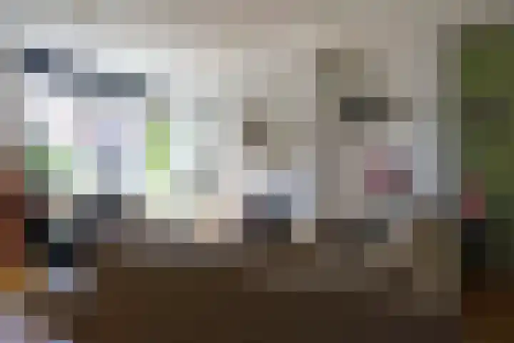 van Hogendorpstraat 6 Hoogezand thumbnail 12