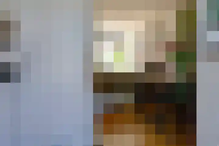 van Hogendorpstraat 6 Hoogezand thumbnail 15