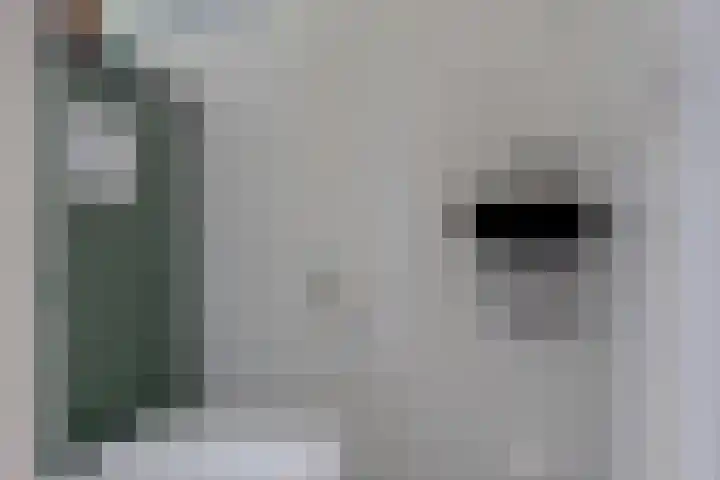 van Hogendorpstraat 6 Hoogezand thumbnail 18