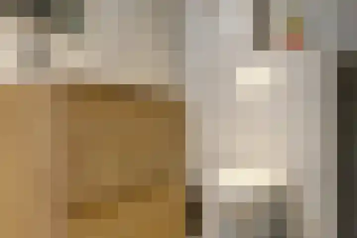 van Hogendorpstraat 6 Hoogezand thumbnail 27