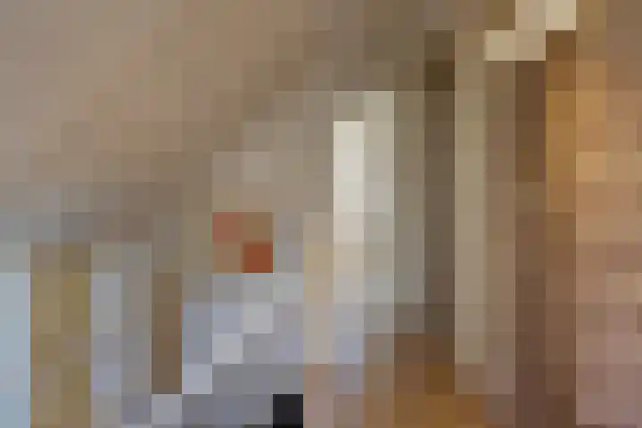 van Hogendorpstraat 6 Hoogezand thumbnail 28