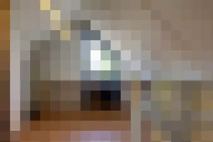 van Hogendorpstraat 6 Hoogezand thumbnail 29