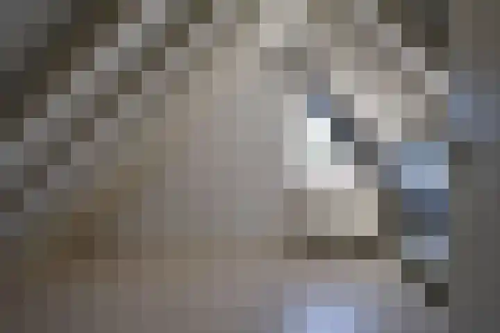 van Hogendorpstraat 6 Hoogezand thumbnail 30