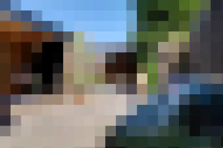 van Hogendorpstraat 6 Hoogezand thumbnail 4