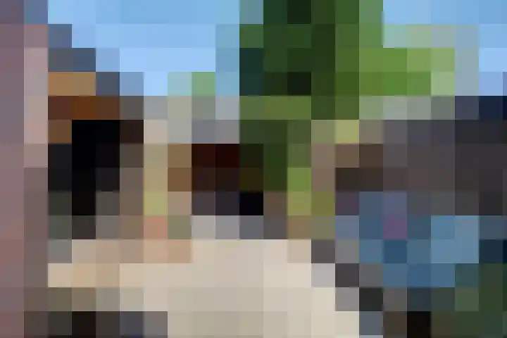 van Hogendorpstraat 6 Hoogezand thumbnail 5