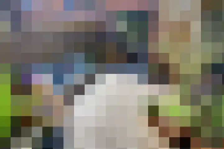 van Hogendorpstraat 6 Hoogezand thumbnail 7