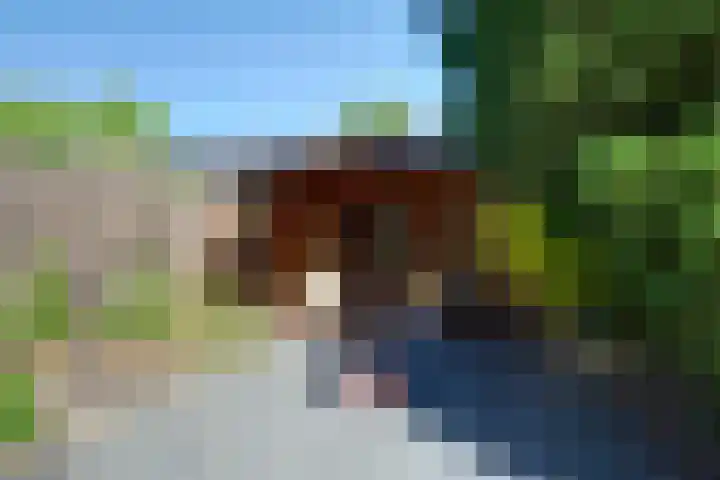 van Hogendorpstraat 6 Hoogezand thumbnail 8