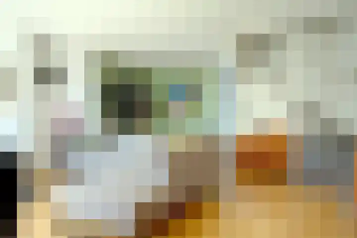 van Hogendorpstraat 6 Hoogezand thumbnail 9