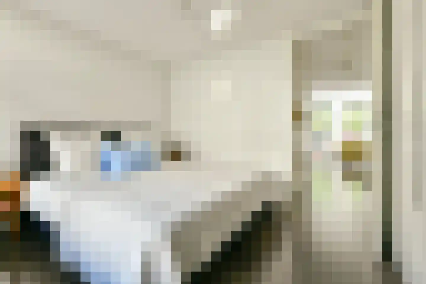 Van Hogendorpstraat 60 1 Amsterdam thumbnail 13
