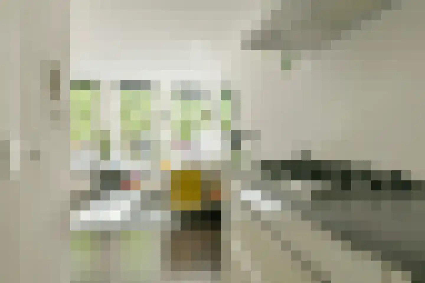 Van Hogendorpstraat 60 1 Amsterdam thumbnail 5