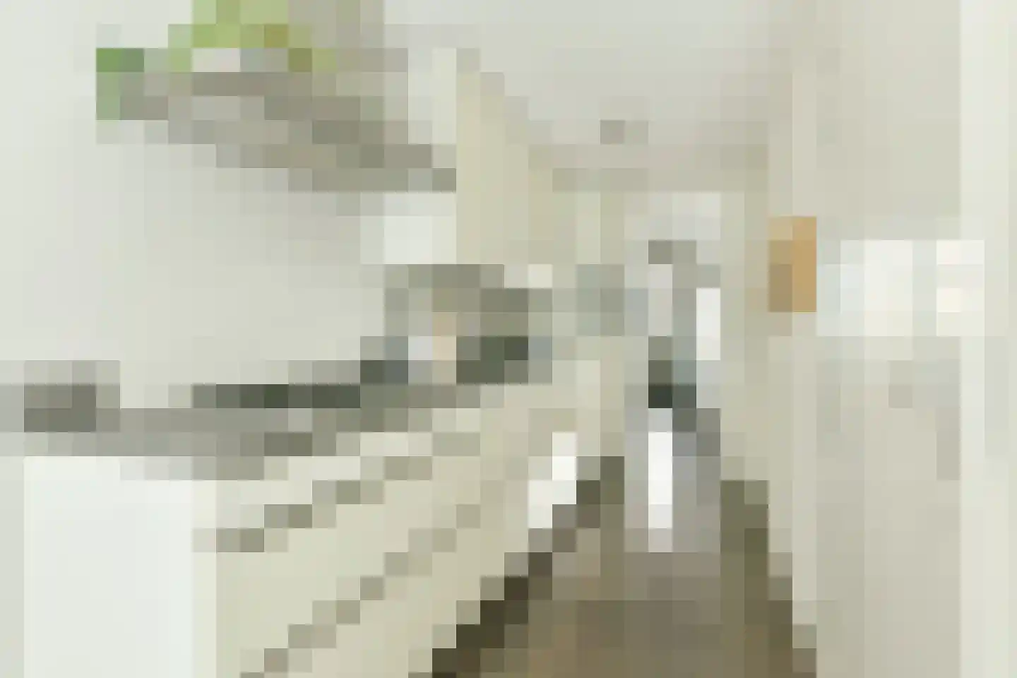 Van Hogendorpstraat 60 1 Amsterdam thumbnail 8