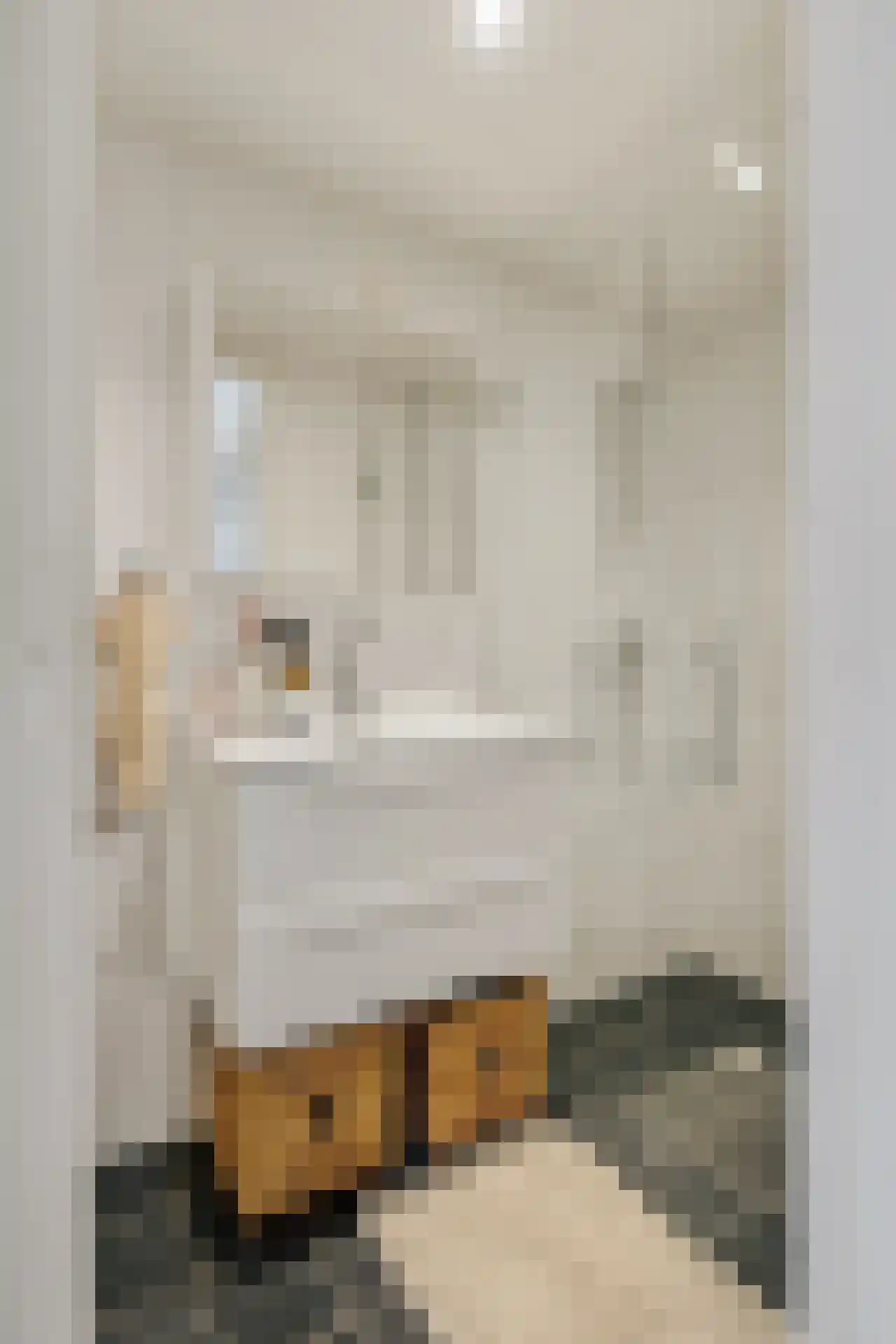 Van Hogendorpstraat 62 3 Amsterdam thumbnail 18