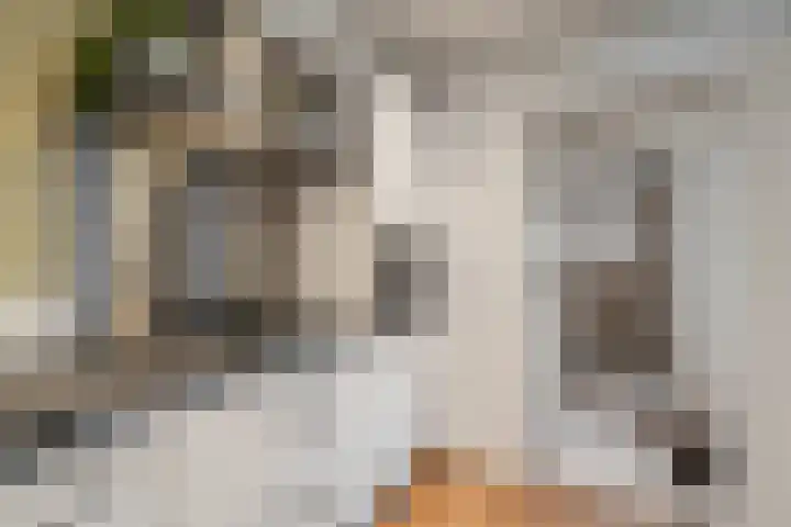 Van Hogendorpstraat 63 Den Helder thumbnail 10