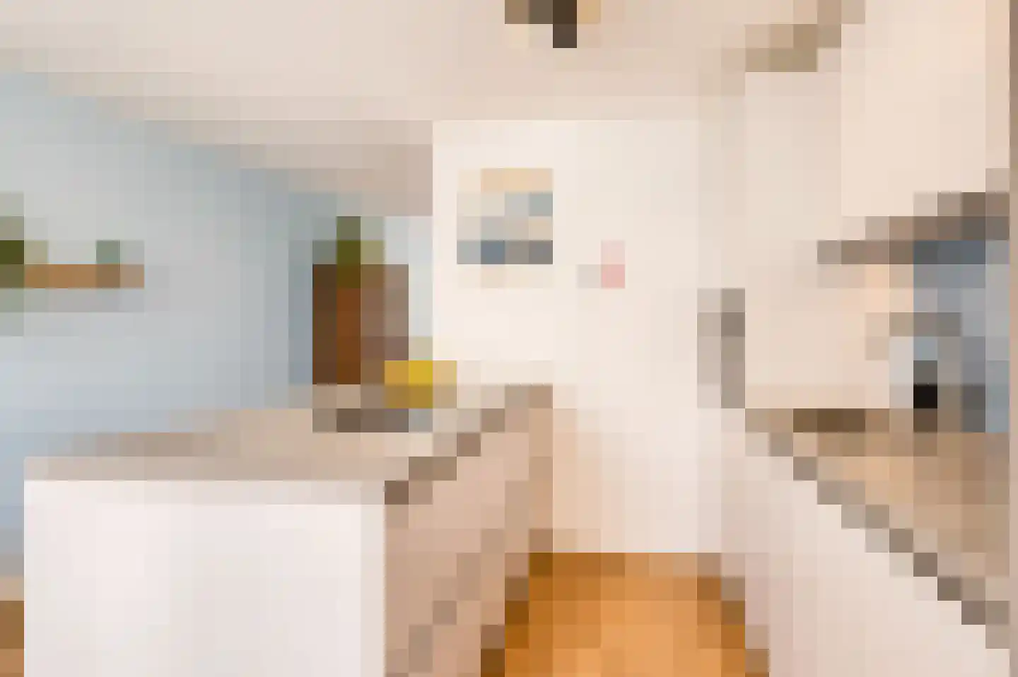 Van Hogendorpstraat 64 B Amsterdam thumbnail 16