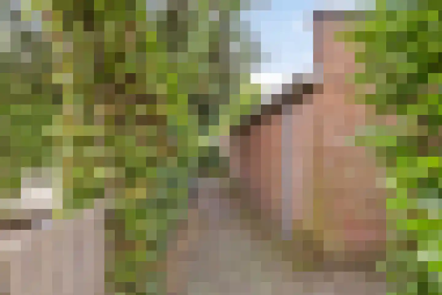 Van Hogendorpstraat 7 Enschede thumbnail 32