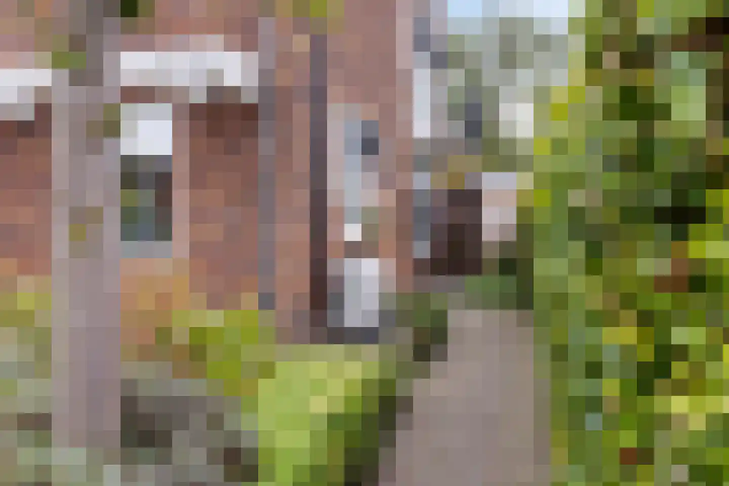 Van Hogendorpstraat 7 Enschede thumbnail 34