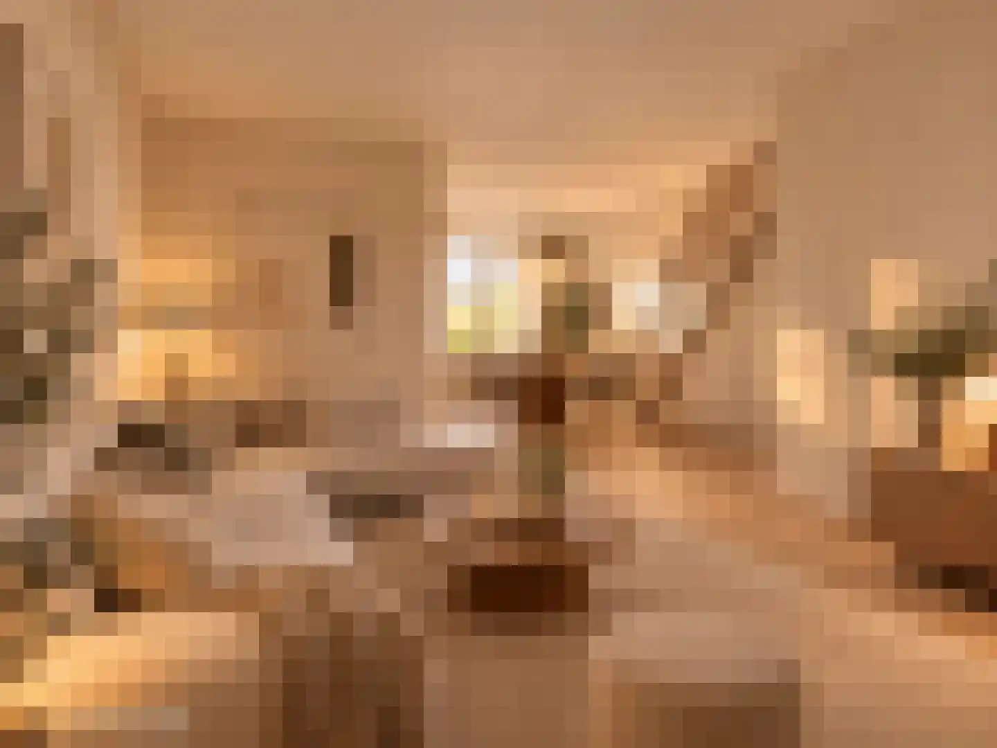 van Hogendorpstraat 70 Rijen thumbnail 4