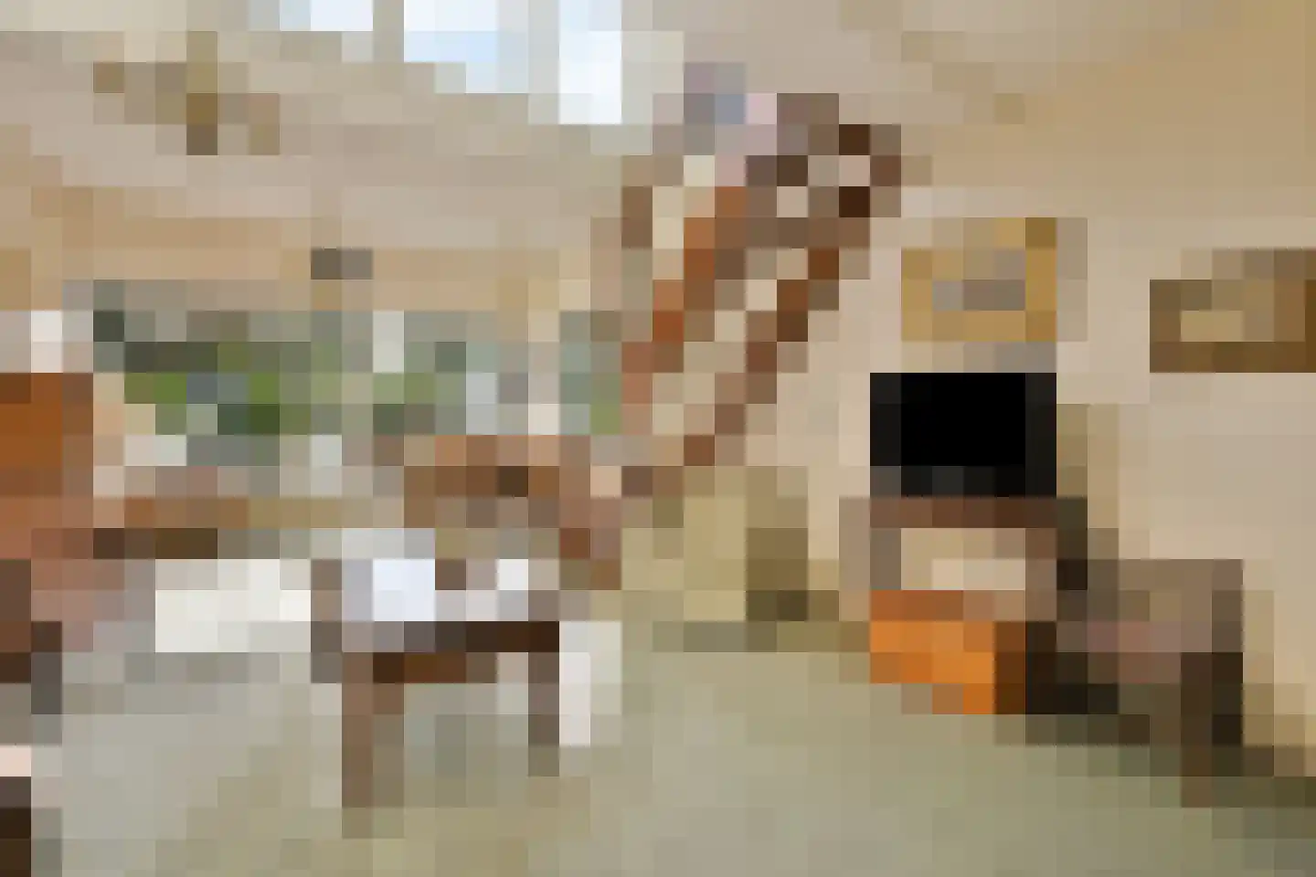 Van Hogendorpstraat 75 Haarlem thumbnail 12