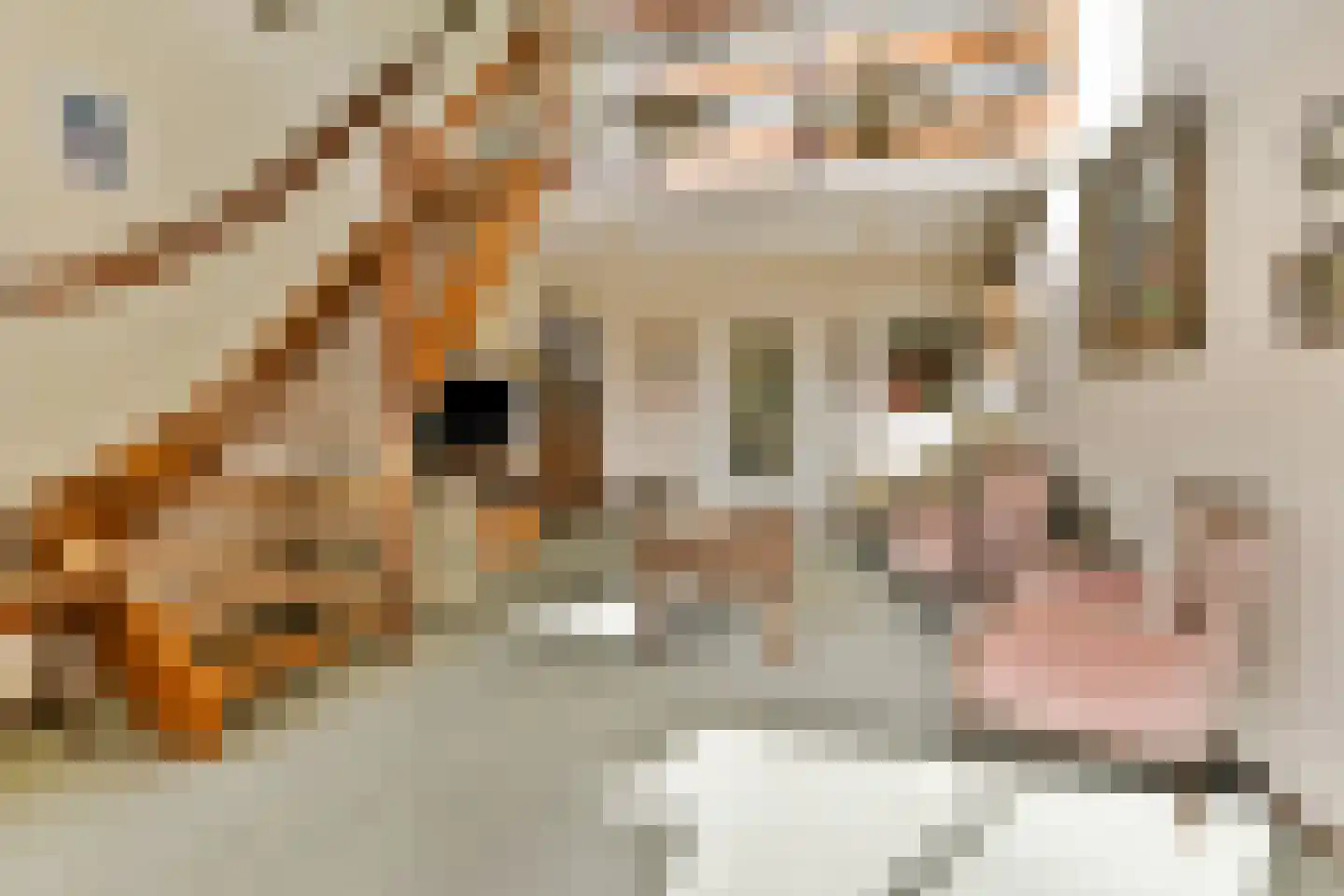 Van Hogendorpstraat 75 Haarlem thumbnail 13