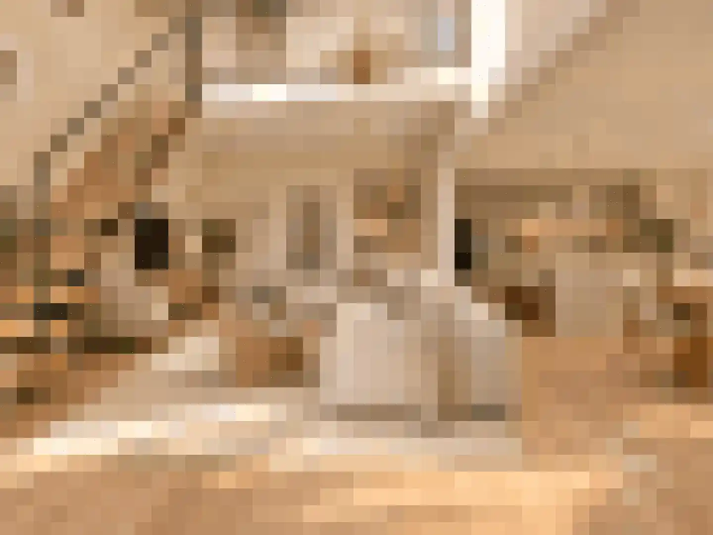 Van Hogendorpstraat 75 Haarlem thumbnail 14