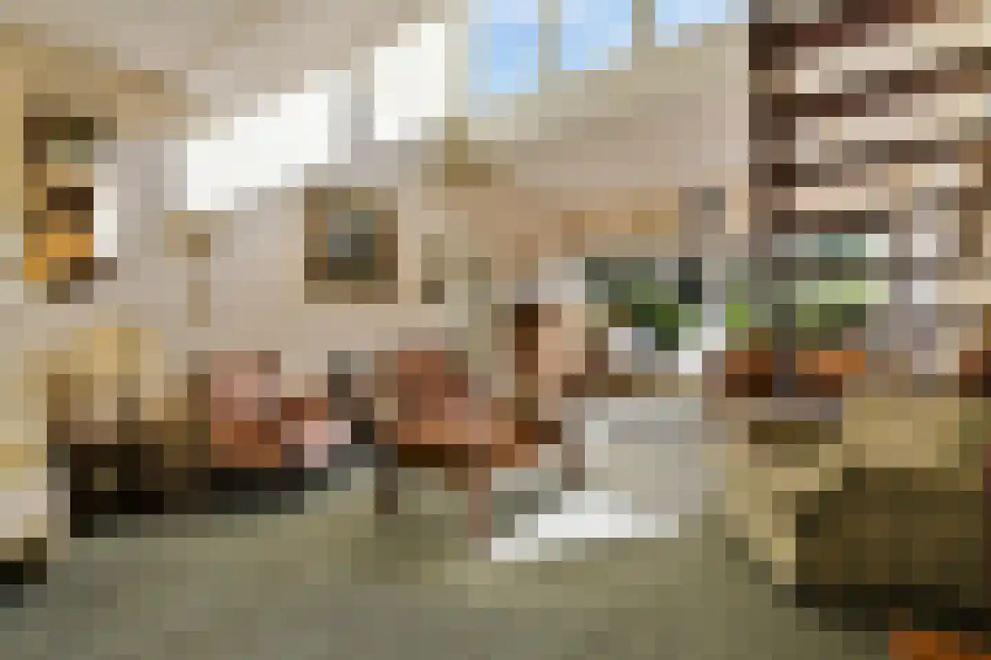 Van Hogendorpstraat 75 Haarlem thumbnail 15