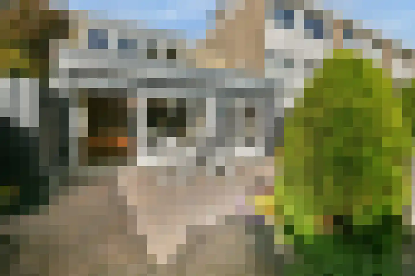 Van Hogendorpstraat 75 Haarlem thumbnail 20
