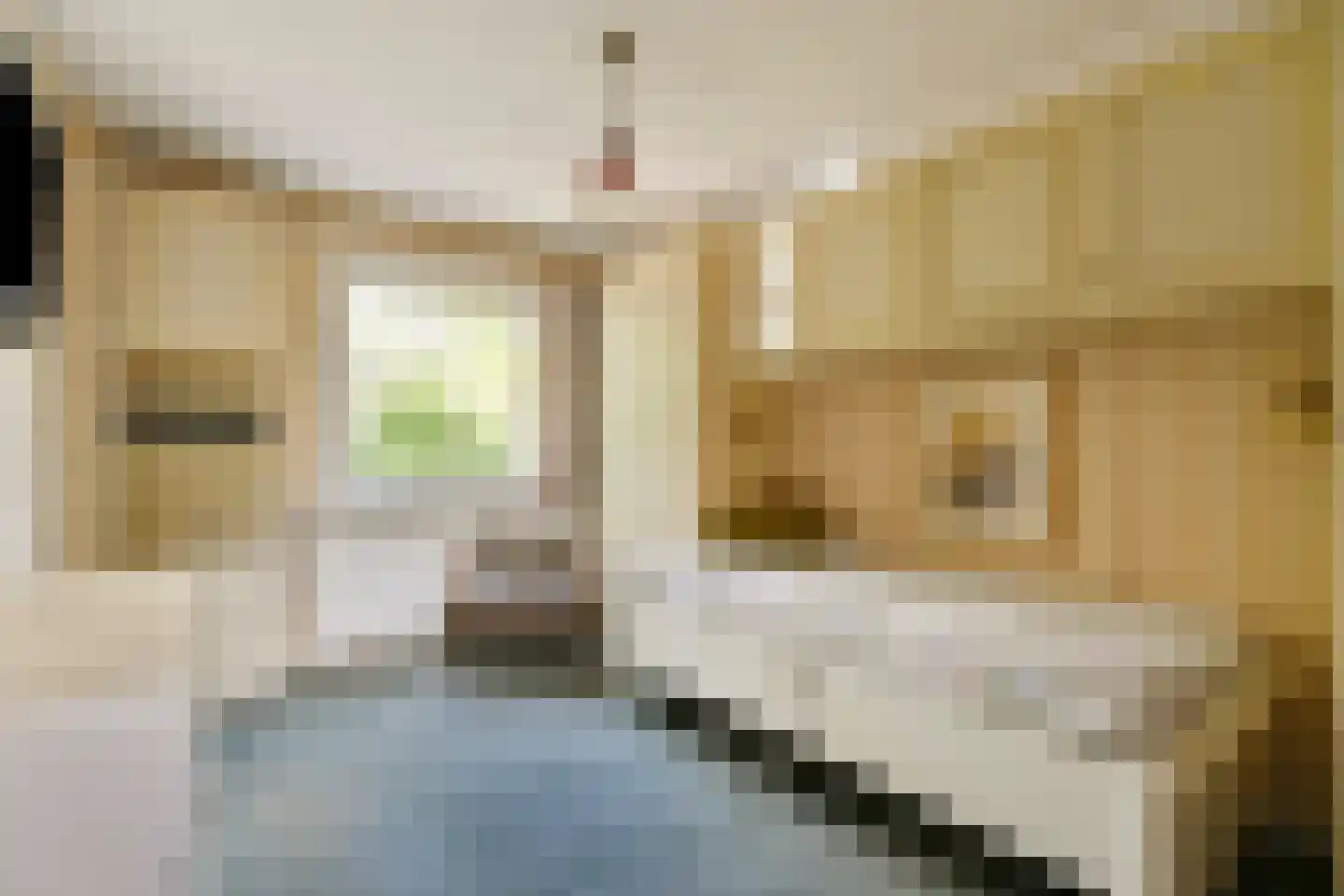 Van Hogendorpstraat 75 Haarlem thumbnail 22