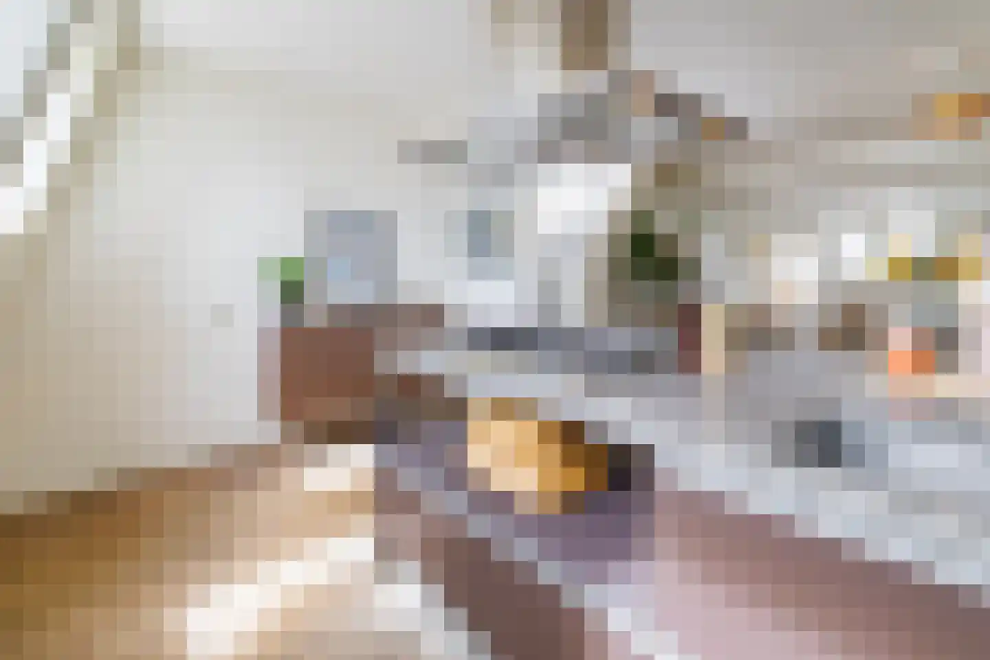 Van Hogendorpstraat 76 3 Amsterdam thumbnail 10