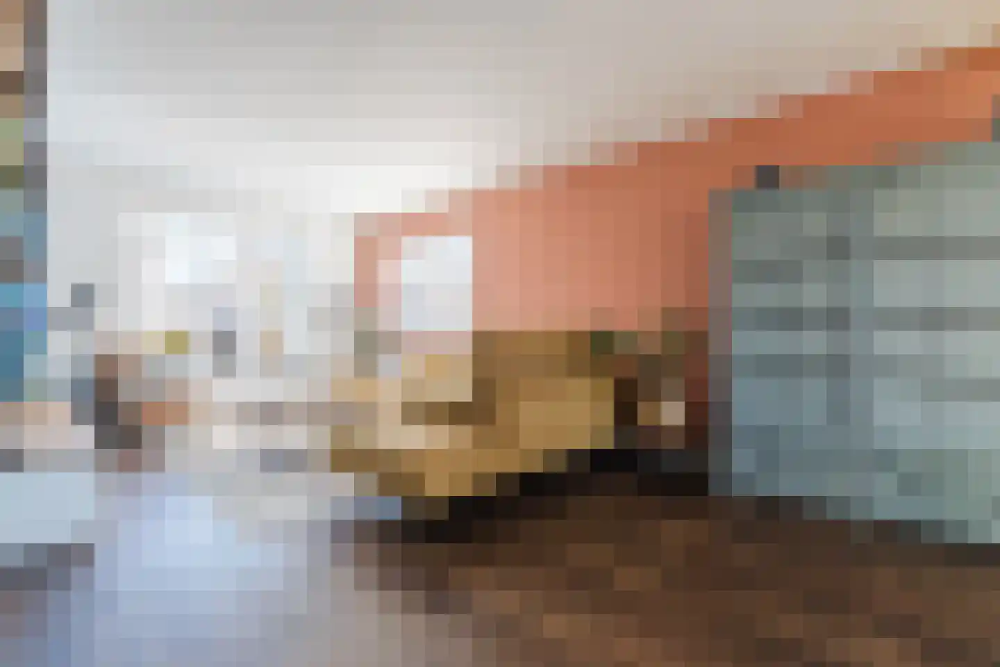 van Hogendorpstraat 8 Hoogeveen thumbnail 11