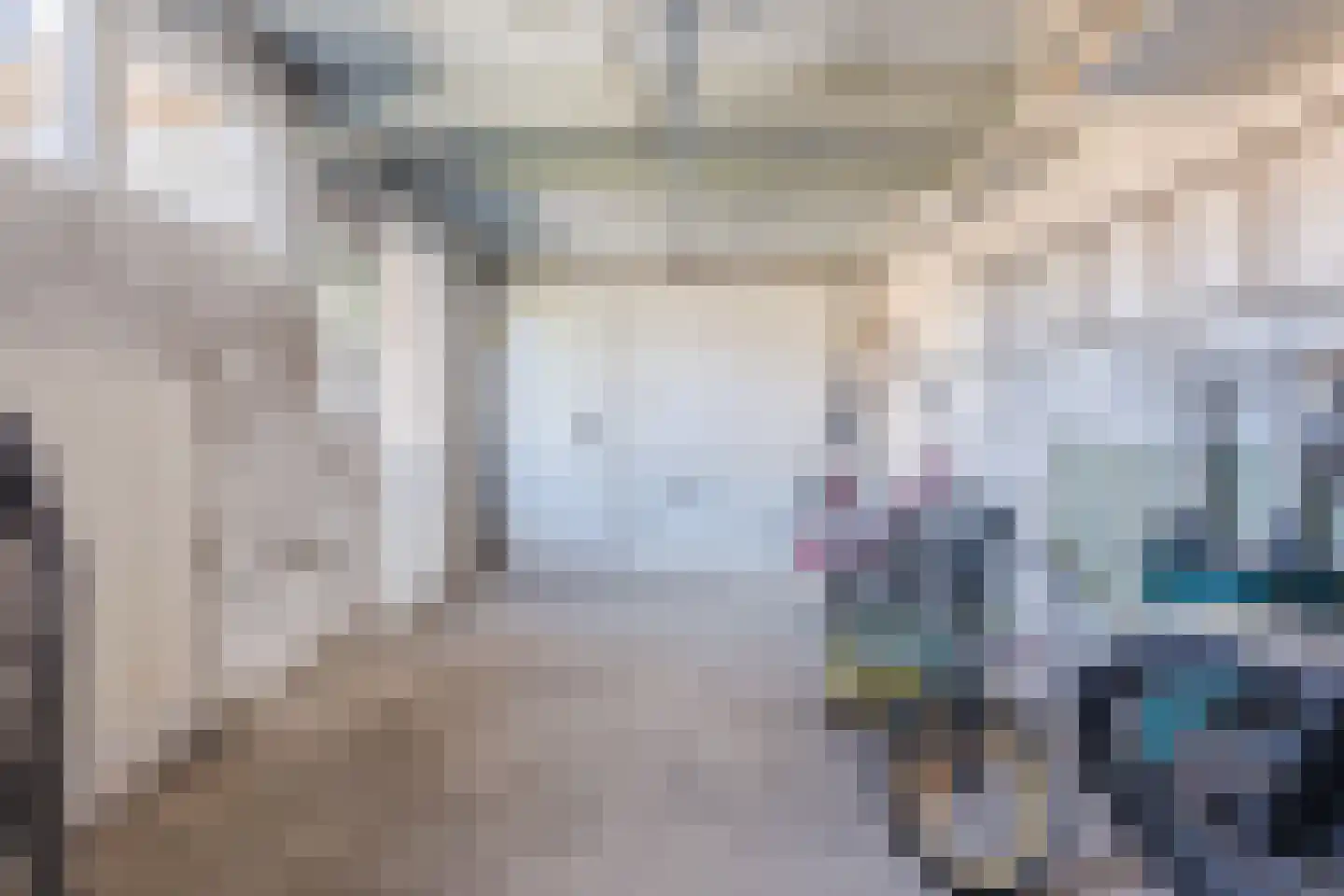 van Hogendorpstraat 8 Hoogeveen thumbnail 54