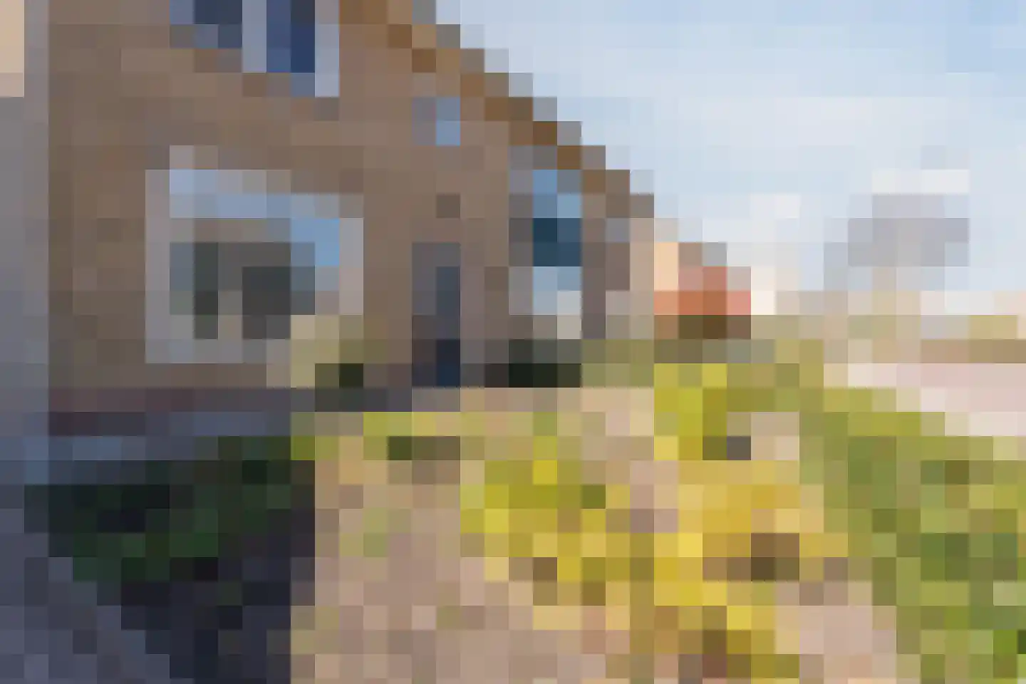 van Hogendorpstraat 8 Hoogeveen thumbnail 6