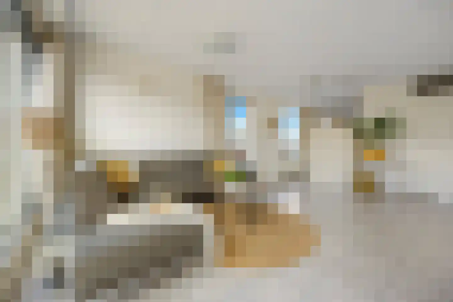 van Hogendorpstraat 84 Nijmegen thumbnail 14