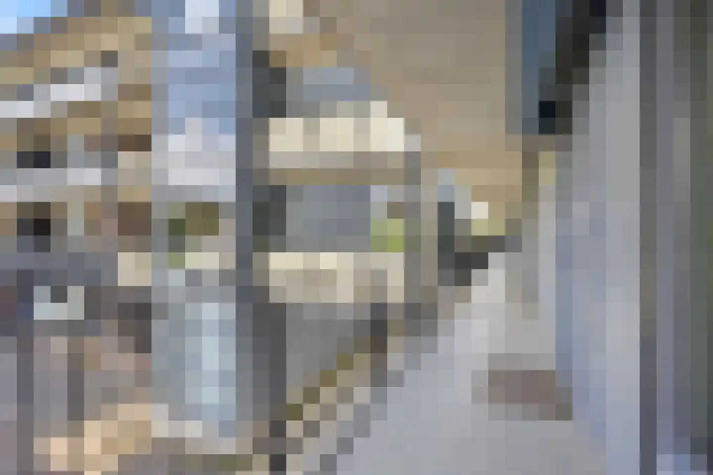van Hogendorpstraat 84 Nijmegen thumbnail 36