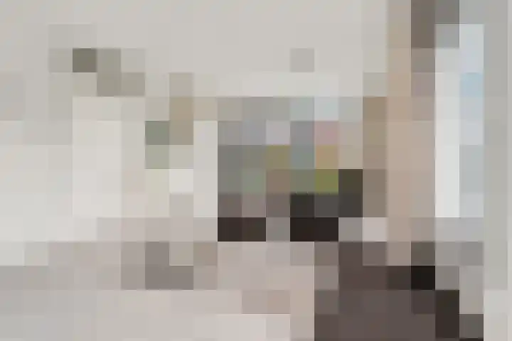 van Hogendorpstraat 84 Nijmegen thumbnail 5