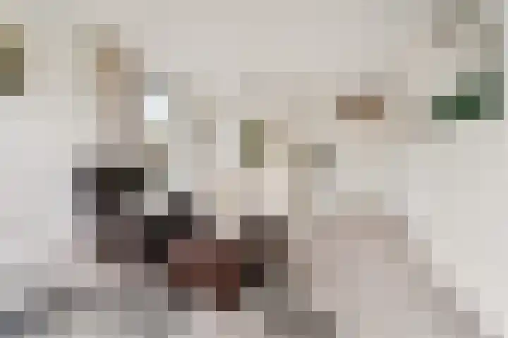 van Hogendorpstraat 84 Nijmegen thumbnail 8