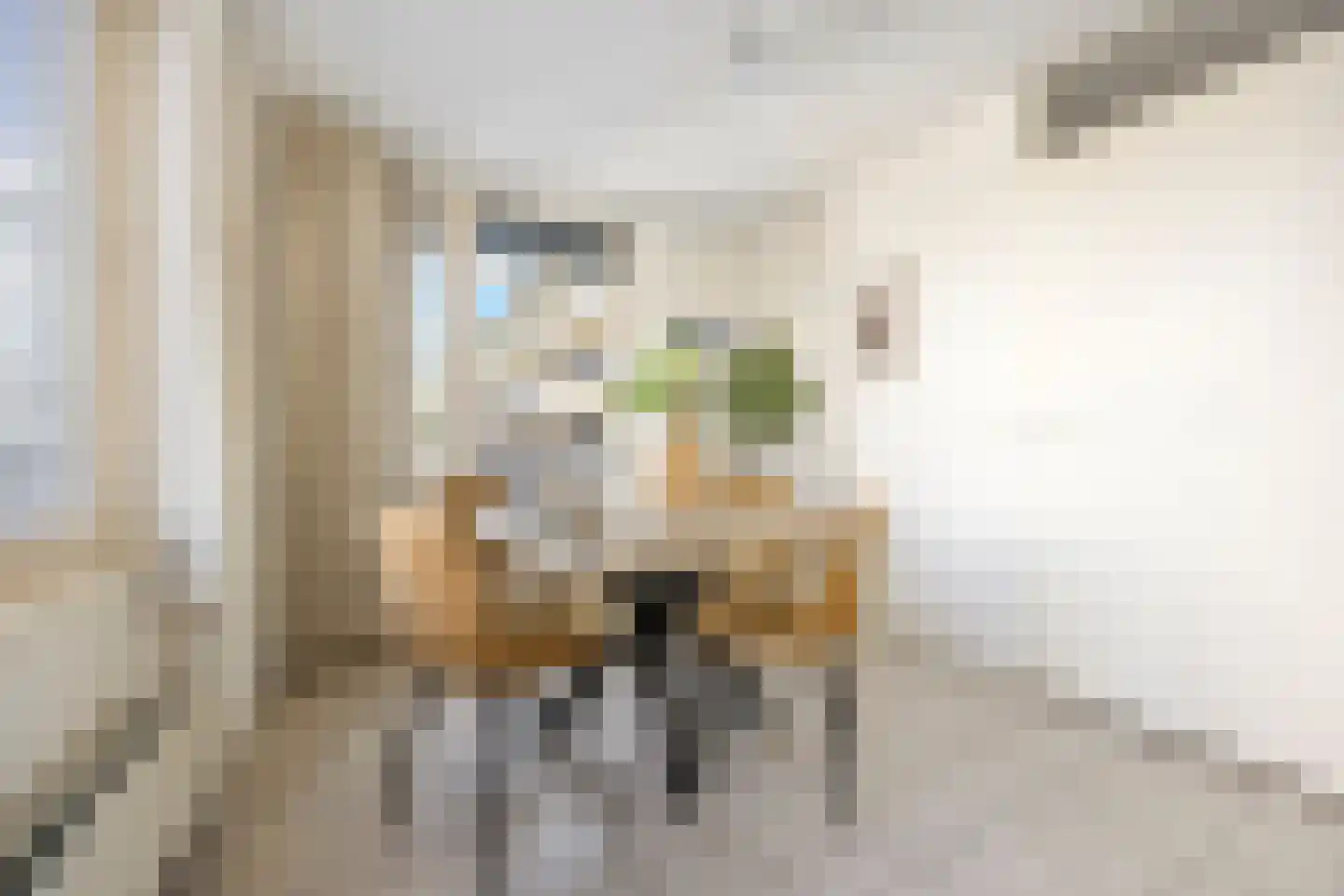 van Hogendorpstraat 84 Nijmegen thumbnail 8