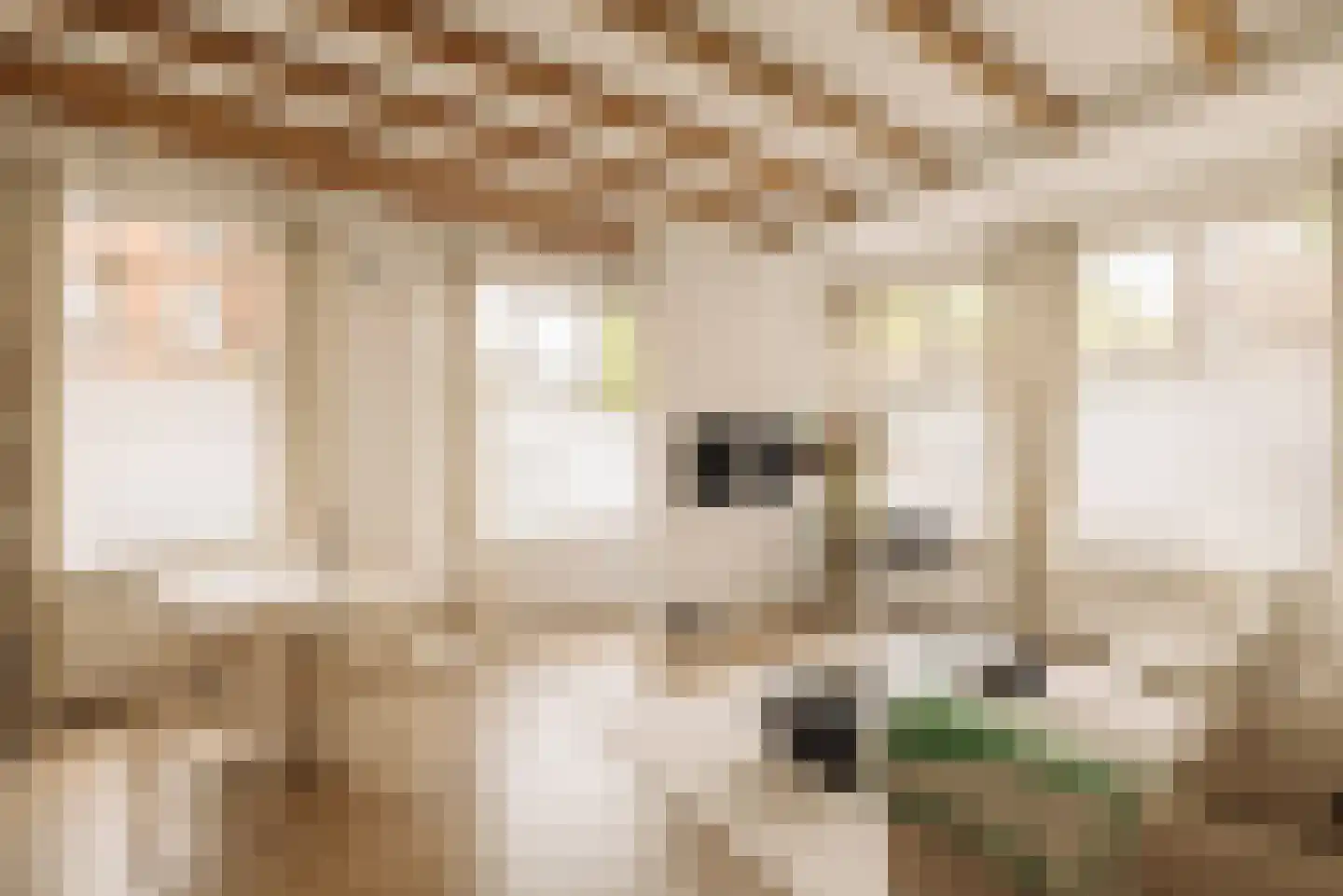 Van Hogendorpstraat 863 Amsterdam thumbnail 4