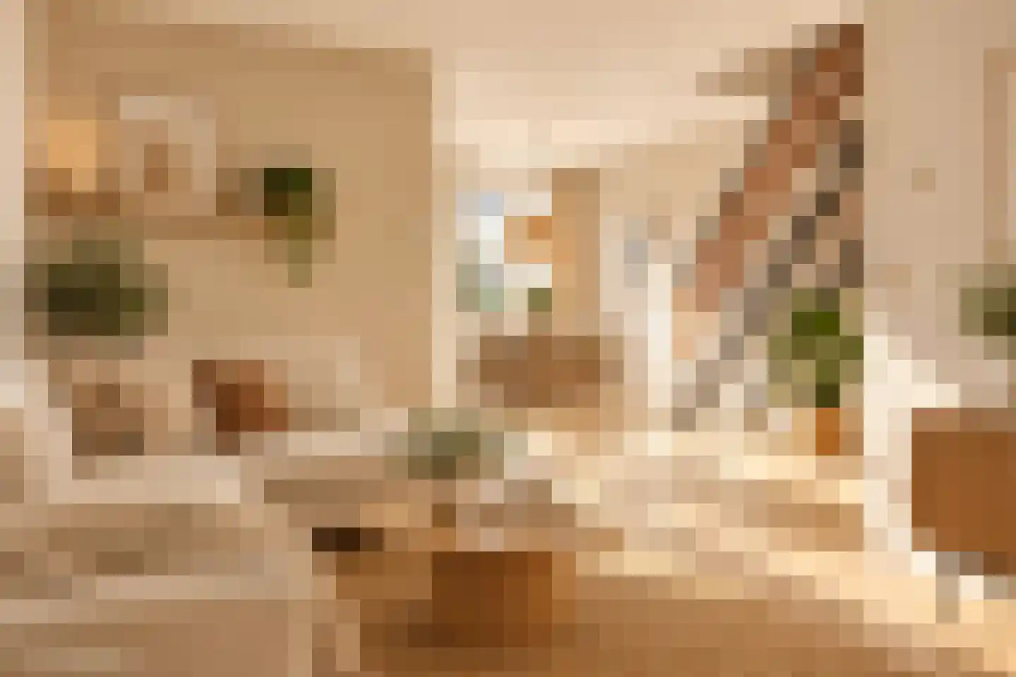 van Hogendorpstraat 88 Rijen thumbnail 4