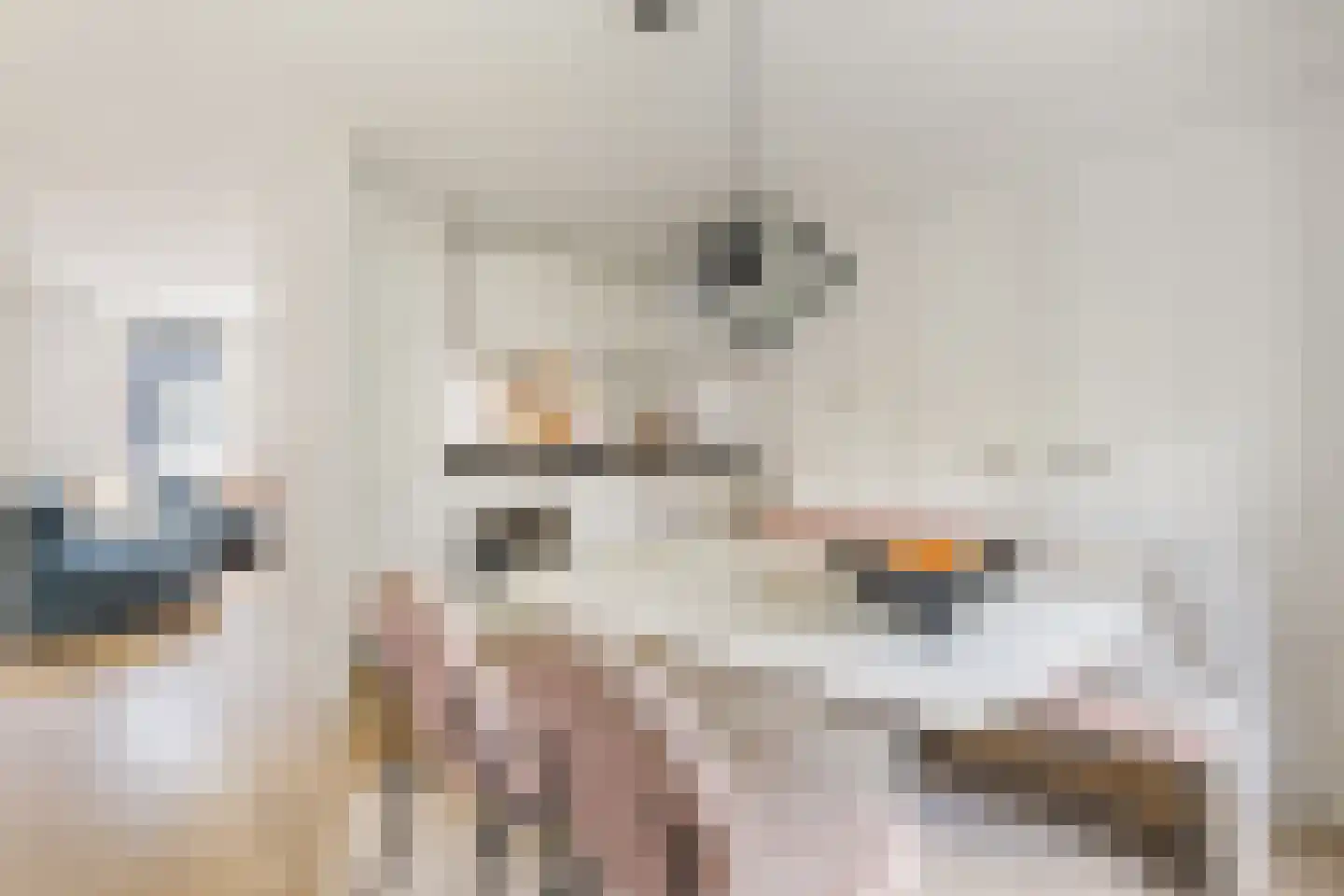 Van Hogendorpstraat 899 Amsterdam thumbnail 12