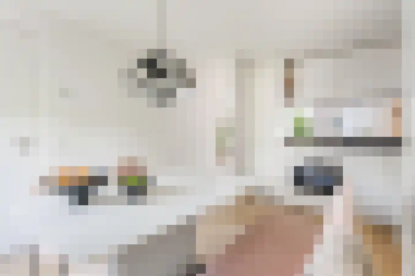 Van Hogendorpstraat 899 Amsterdam thumbnail 13