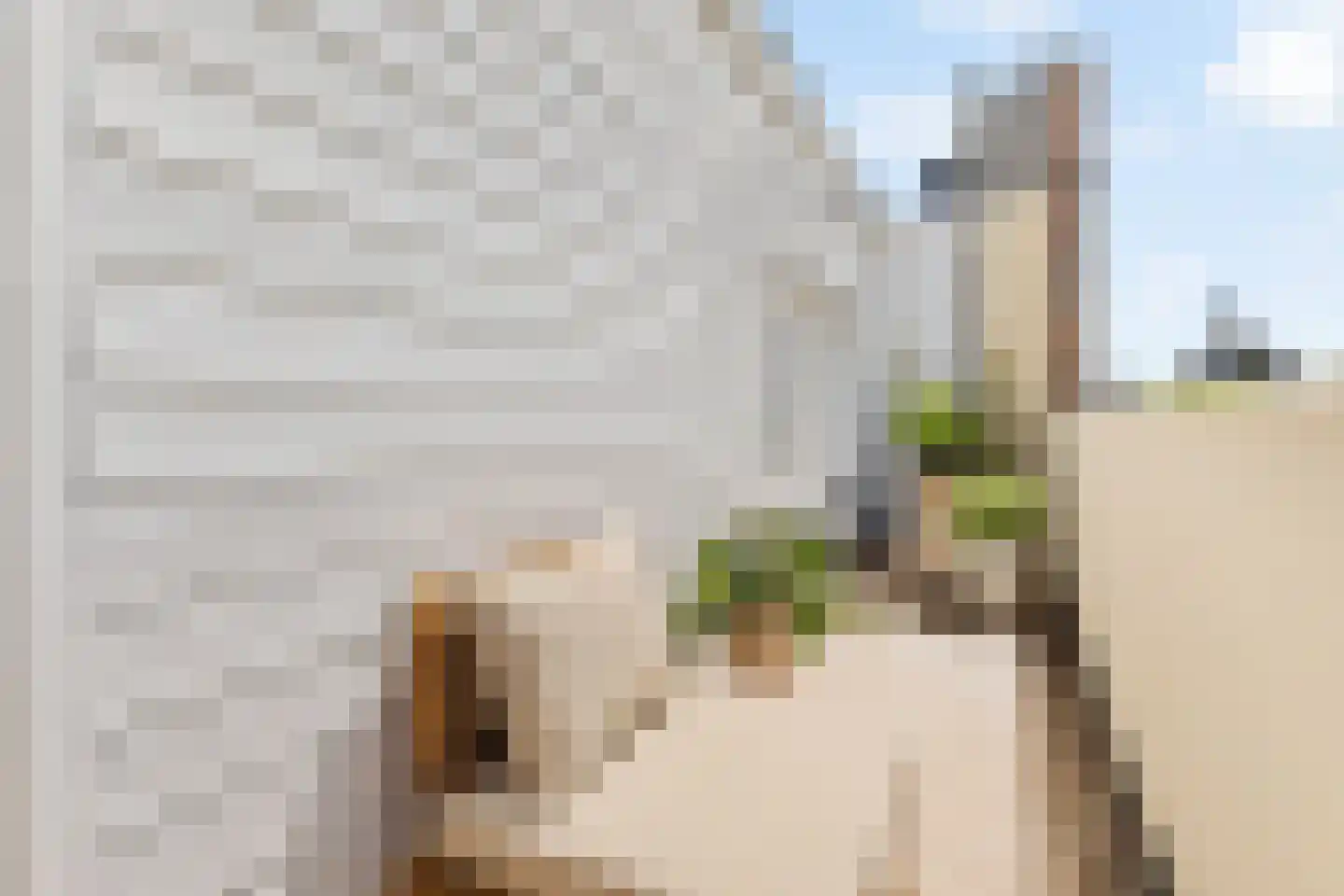 Van Hogendorpstraat 899 Amsterdam thumbnail 27